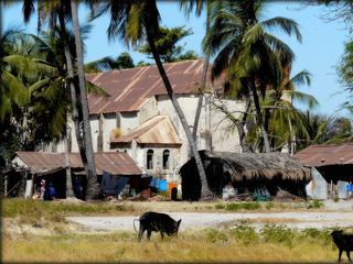 Ile de Karabanne à l'embouchure du fleuve Casamance au Sénégal. Vestige de l'église au coeur du village.