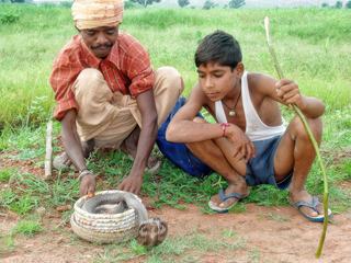Au Rajasthan, le cobra pique une fois.
La piqûre de rappel est superflue...