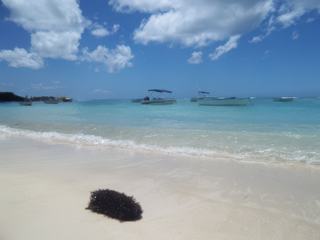 photo Les plages de Lolovoyage