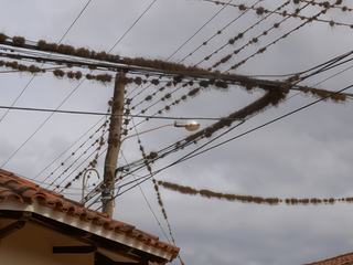 Oui je sais , la forme n'a rien d'original, mais ce réverbère avec tous ses fils et sa mousse me semblait bien représenter de nombreux pays d'ailleurs. Icî en Bolivie.