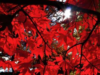 photo Jeux d'ombres et de lumières de jbonamour