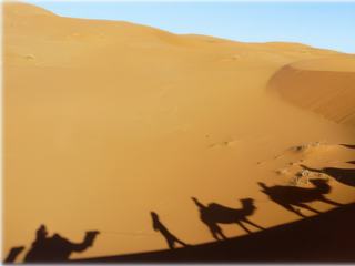 La suite du mois dernier... ballade dans l'erg Chebbi Merzouga Maroc
