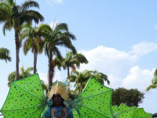 Quand les ailes des papillons font la queue leu leu... au Carnaval de Pointe à Pitre en Guadeloupe.