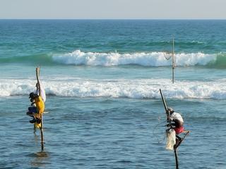Au sud du Sri Lanka dans la région de Galle, on peut apercevoir des hommes perchés sur des échasses ou des grands piquets plantés dans la mer : ce sont des pêcheurs qui pêchent de manière perchée.
Cette forme de pêche est une tradition sri lankaise qui se transmet de père en fils. Elle est totalement artisanale et les pêcheurs sont seulement munis d’une canne à pêche et d’appâts.
Malheureusement, cette tradition disparaît peu après le tsunami de 2004 qui a touché le Sri Lanka mais les choses sont revenues à la normale et les pêcheurs ont pu reprendre leur activité.
(Photo prise en 2010)