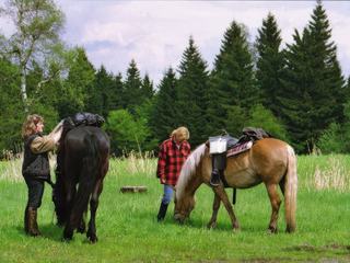 photo Le bonheur est dans le pré de ranger