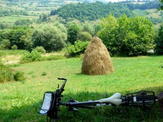 photo Le bonheur est dans le pré de globephil