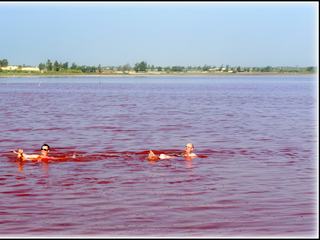 Thème pas évident. Une seule proposition dans ma photothèque : Baignade dans le Lac Rose au Sénégal. La salinité est à peu près de 350 g/litre soit plus que dans la Mer Morte. Vous pouvez donc y faire la planche sans aucune difficulté. A la sortie pour quelques francs CFA, une personne vous rince à l'eau douce avec une petite bassine.
