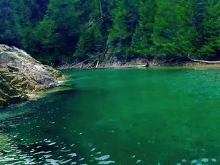 Voyage au Canada en 2015. Le lac Pink situé dans le Parc de la Gatineau dans la province de Québec. Je ne vais pas faire grande originalité avec ma proposition mais en fouillant dans mes archives photos et pour honorer du mieux possible et respecter le thème je n'ai rien trouvé de plus représentatif de la "couleur émeraude", cela me semble correct avec cette proposition, à vous ami(e)s de FOU DE VOYAGE d'en juger!
Voila quelques infos sur ce site magnifique bien représentatif de la flore et de la faune canadienne.
 Sur la route depuis  notre point de départ du voyage à TORONTO et allant vers MONTRÉAL, non loin d’Ottawa nous avons fait un arrêt en ce lieu et nous avons été ébahit par la couleur de l'eau de ce  lac. C'est le résultat d'un phénomène du à la présence d'algues et de bactéries dans ses profondeurs.  Associé au manque d’oxygène. (une seule espèce de poisson vit dans ces eaux)  la couleur émeraude  est aussi accentuée par le marbre et la calcite des rochers du bord de l'eau. Cela a été  un coup de cœur parmi tant d'autres que l'on peut rencontrer dans les paysages du CANADA.