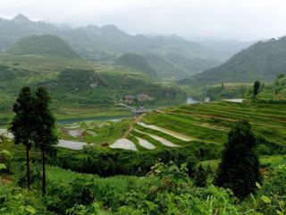 Palette de couleurs vert émeraude dans la province du Guihzou (Chine), une contrée "où il n’y a pas 3 arpents de terre plate, 3 jours sans pluie, ni 3 sous dans la poche de ses habitants" comme le dit justement ce proverbe chinois.
Rizières étagées en terrasses vertigineuses, pour certaines à flanc de montagnes, potagers verts éclatants s’organisent autour de petits bassins artificiels aux rebords d’argile. Le ciel sombre et la brume qui s'élève dans l'air ajoute une touche mystérieuse et poétique, dans l'imaginaire c'est la Chine que je me représentais.