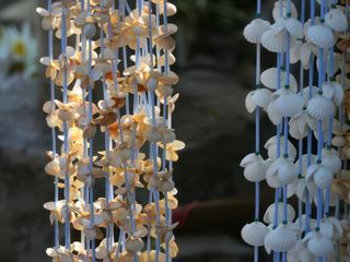 Voici une photo de colliers avec des coquillages prise en Inde dans une rue de Pondichery..