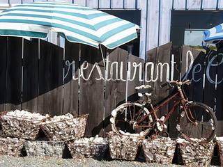 Photo prise sur l'île de ré