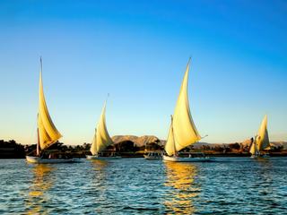 Croisière sur le NIL en 2009. Lors de notre voyage en EGYPTE  dans le programme de 15 jours  est prévu une  partie du parcours comprenant la navigation en bateau de croisière depuis LOUXOR ou l'on a embarqué  jusqu'au barrage d'ASSOUAN sur le majestueux fleuve du NIL  avec escales et visites à ESNA, EDFOU, KOM OMBO et ASSOUAN soit 8 jours et 7 nuits a bord...  .
 Spectacle magique comme la photo que je vous propose et prise depuis notre bateau... De chaque coté des deux rives on peut croiser ces belles felouques (ancêtres des voiliers de nos jours..) d'ailleurs on a pu faire une autre mini-croisière  à bord de ces embarcations  pour admirer encore de plus prés les bords du fleuve . Qu'elle beauté que ces voiles se reflétant dans le miroir de l'eau sous le soleil couchant avec en fond de tableau les falaises  de grès ou les temples ou l'on fait escale pour visiter. Ce panorama doit être vu une fois dans la vie comme toute l'EGYPTE avec ses richesses et sa culture.