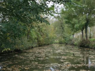 Croisière en solitaire dans le Marais Poitevin..  hi hi hi;;;
A défaut de magnifiques lieux de rêves
et lointains... complètement ouf cette nana...
bonne année à tous...