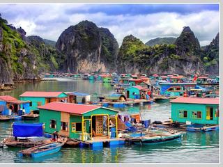 VIETNAM 2008 LA BAIE D'HALONG...
Pour un dépaysement garanti loin de la vie trépidante que nous connaissons tous, je propose a ceux qui ne connaissent pas ce coin d’Asie. Ces villages de pécheurs (celui que je propose s'appelle VUNG VIENG). Ces villages sont rassemblés en communauté dans des ilots parsemés dans la baie et en font a mon gout vraiment des "villages remarquables" qui sortent de l'ordinaire par leur structure. Déambuler au milieu d'eux lors d'une balade  et toucher la vie quotidienne des habitants est un plaisir inimaginable.Voila pourquoi tout de suite après avoir découvert le thème du mois j'ai pensé a proposer ce coin du VIETNAM. Pour nous qui y sommes allés cela reste un endroit magique et nous  n'avons connu de semblable nul part ailleurs  par la beauté du cadre et la quiétude qui s'en dégage même sur les villages flottants de BIRMANIE ou sur le MÉKONG bien qu'eux aussi magnifiques n'offrent pas au visiteur la même sensation de tranquillité et de de qualité de vie. 
  Je vais mettre au forum sur une discussion que je vais lancé d'autres images de cet endroit qui reste cher a notre cœur avec quelques autres explications.