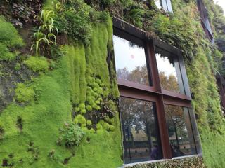 Facade végétalisée du Musée des Arts Océaniques, Quai Branly a Paris