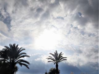 photo Contre jour de kokiyage