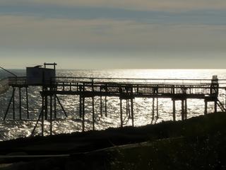 photo Contre jour de loofok77