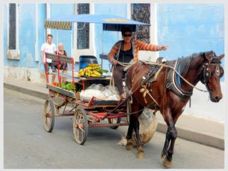 Voyage à CUBA 2018.
Le dépaysement est total quand on peut immortaliser par l'image ce genre de cliché qui je pense colle parfaitement au thème de ce mois à savoir les métiers des rues.
 Rencontre en arpentant les ruelles de Santiago de Cuba de cette marchande de fruits et légumes qui propose ses produits aux locaux mais aussi aux touristes. A noter que les cubains sont soucieux de la propreté des villes, on peut remarquer que les crottins du cheval tractant la carriole sont récupérés dans un sac quand l'animal fait ses besoins en cours de chemin.
