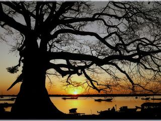 photo les couchers de soleil de Blogtrotter