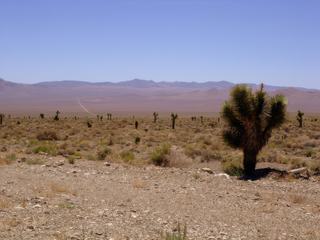Route vers Las Végas – États-Unis