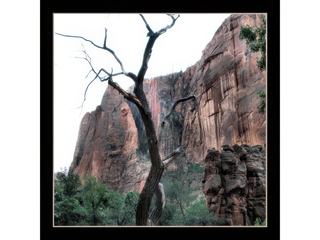 Zion