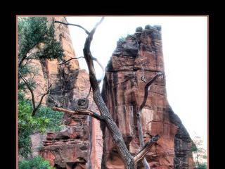 Zion