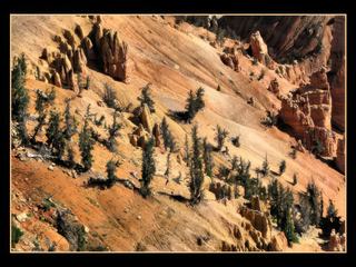 Cedar Breaks Monument – États-Unis
