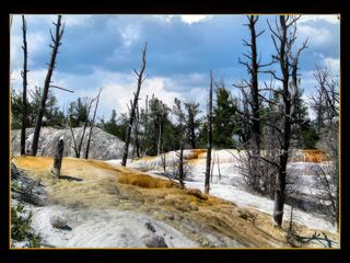 Mammoth Hot Springs