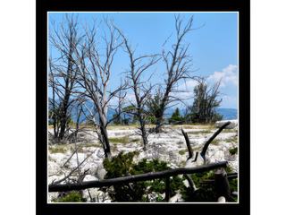 Mammoth Hot Springs – États-Unis