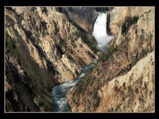 Les Lower Falls du Canyon de Yellowstone
