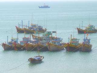 Port de pêche de Mui Ne