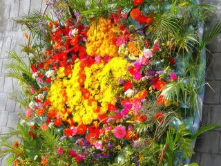 Chaque année en décembre se déroule à Dalat le festival des fleurs et les rues sont décorées