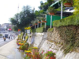 Chaque année en décembre se déroule à Dalat le festival des fleurs et les rues sont décorées