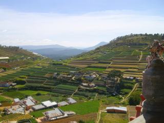 Plantations, Dalat est considéré comme le grenier du Vietnam. Ici, grace au microclimat ambiant tout ou presque pousse et alimente le reste du pays