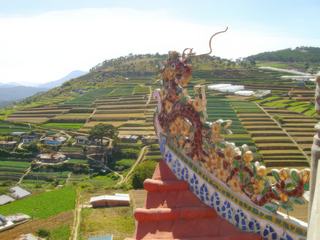 Plantations, Dalat est considéré comme le grenier du Vietnam. Ici, grace au microclimat ambiant tout ou presque pousse et alimente le reste du pays