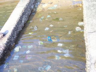 Ha Long Baie ou Ha Long poubelles