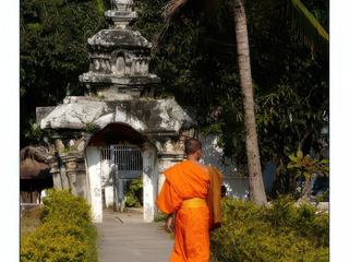 Beaucoup de temples sont occupés par les moines, dont celui-ci. Une grande intensité religieuse règne à Luang Prabang.
