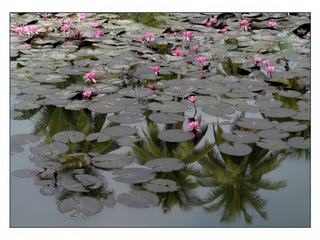 Reflets.