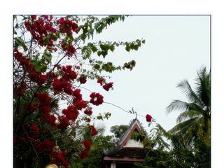 Les jardins du Vat Choum Khong.