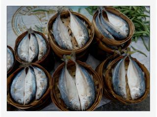 De jolis poissons bien présentés.