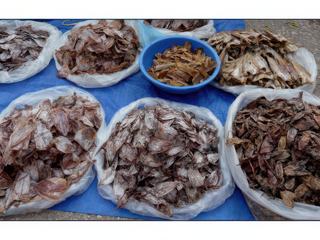 Poissons et viandes de buffles séchés.