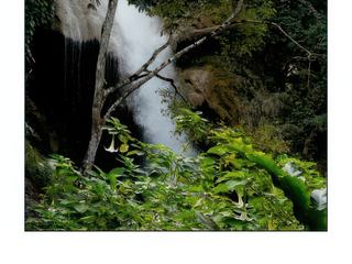 Une des chutes dans un écrin de verdure.