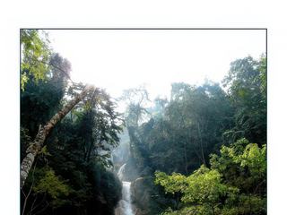 Un parcours de promenade a été aménagé, comme ce petit pont qui enjambe la rivière.