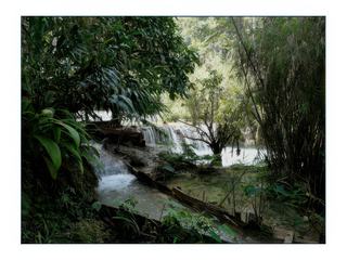 L'eau serpente à travers une forêt tropicale humide très agréable.