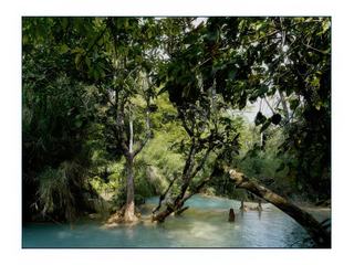 La rivière court à travers les arbres et la végétation.