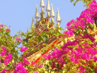Vu des temples de Vientiane