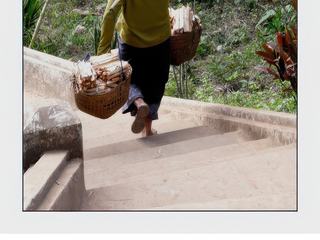 Le portage de deux paniers sur l'épaule avec balancier est encore très répandu au Laos et demande une certaine pratique. Ces femmes parcourent souvent de longues distances pour venir jusqu'à l'embarcadère et font preuve de beaucoup de courage.