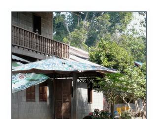 Préparation du bambou.