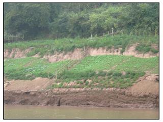 Les rives sont fertilisées au moment de la mousson. Le fleuve dépose une eau chargée de limon, à la saison sèche les terres sont cultivées.