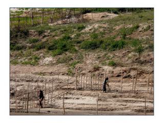 Ce sont souvent les femmes qui s'occupent des jardins.